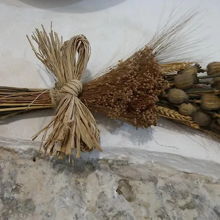 Сasa de vacaciones Casa Mafaco